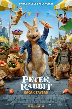 Peter Rabbit 2 Kaçak Tavşan