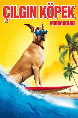 Marmaduke – Çılgın Köpek
