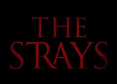 The Strays – Başıboş