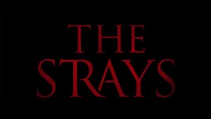 The Strays – Başıboş